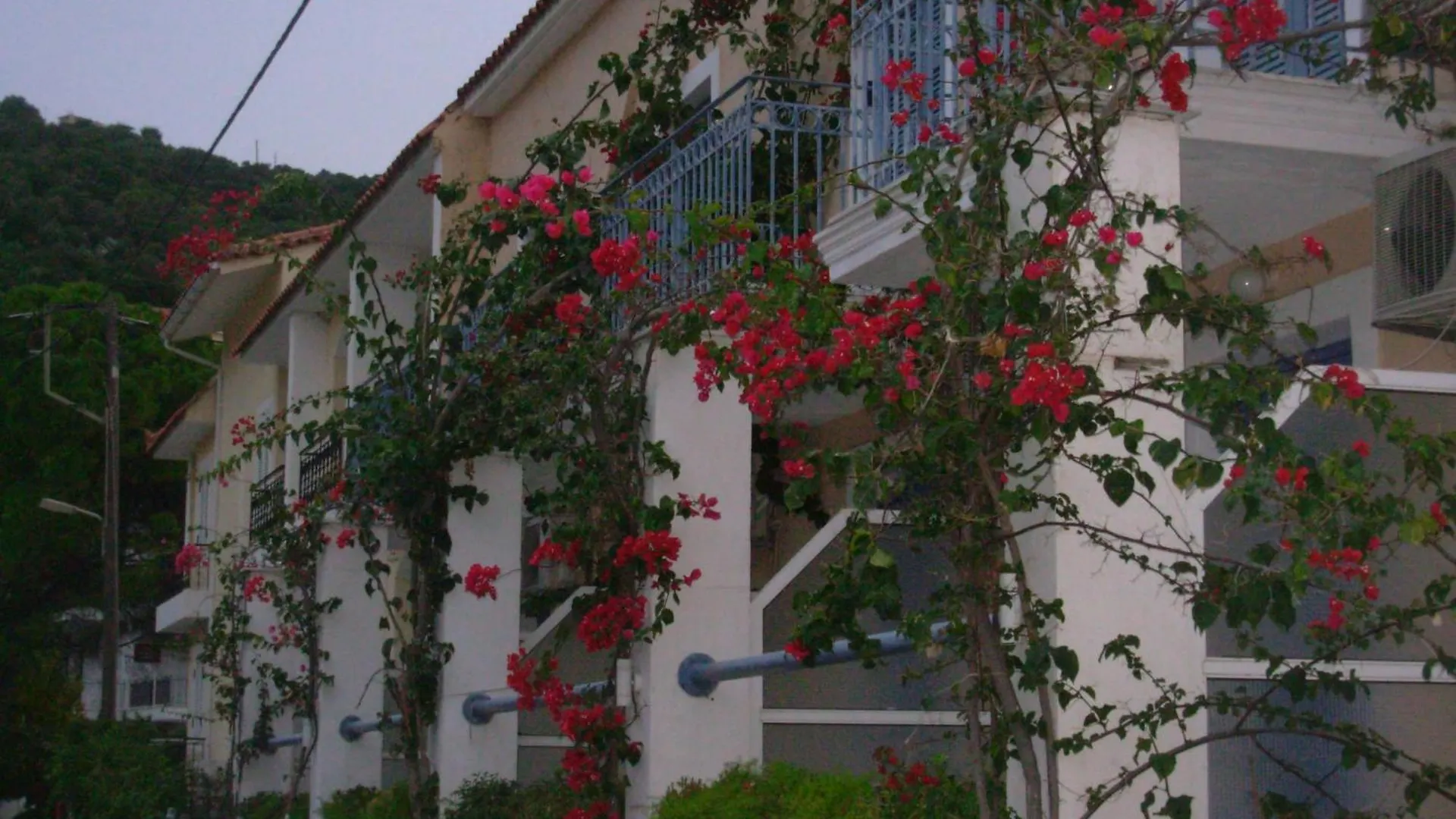 ** Lejlighedshotel Louisa Studios Poros  Grækenland