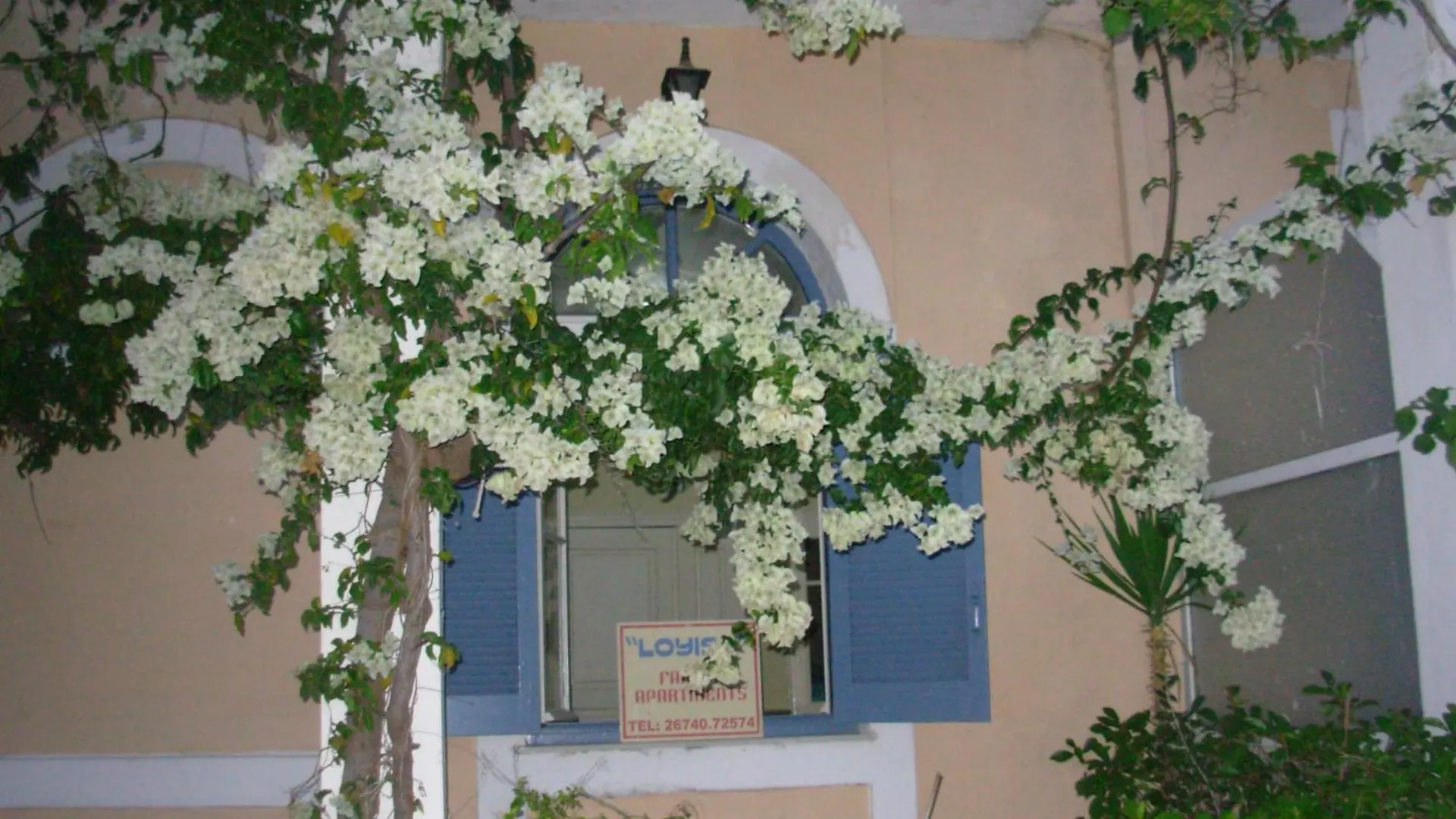 Louisa Studios Poros  2*, Poros (Kefalonia)